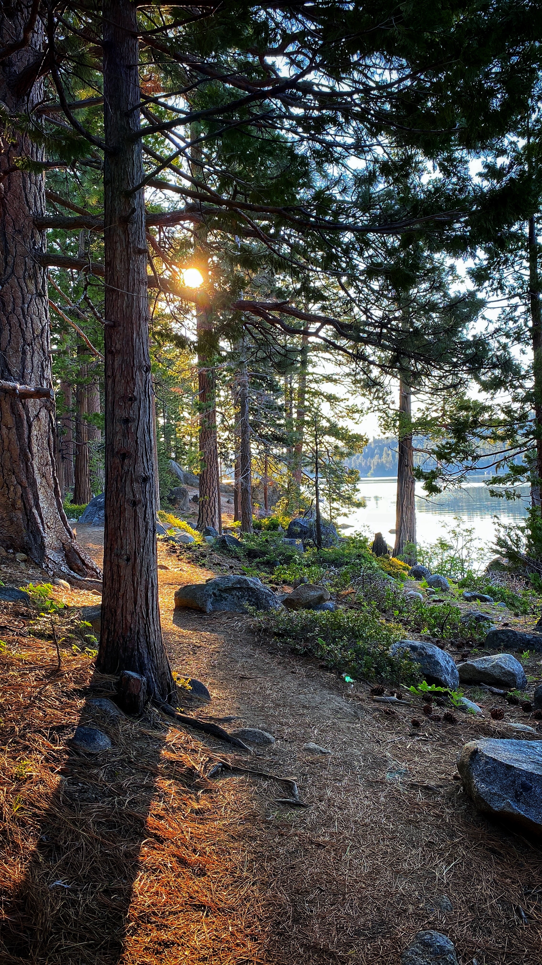 Two Glorious Hikes If You’re In Lake Tahoe
